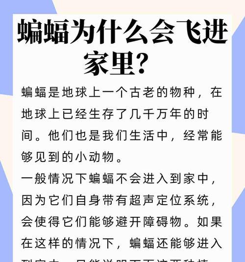 人马蝙蝠的获取方法是什么？  第3张