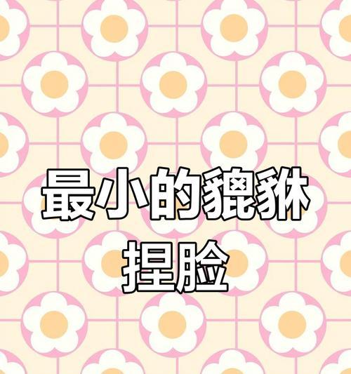 游戏攻略（掌握捏脸技巧）  第1张