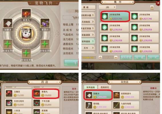 手游问道中宝宝飞升的条件和步骤是什么？  第3张