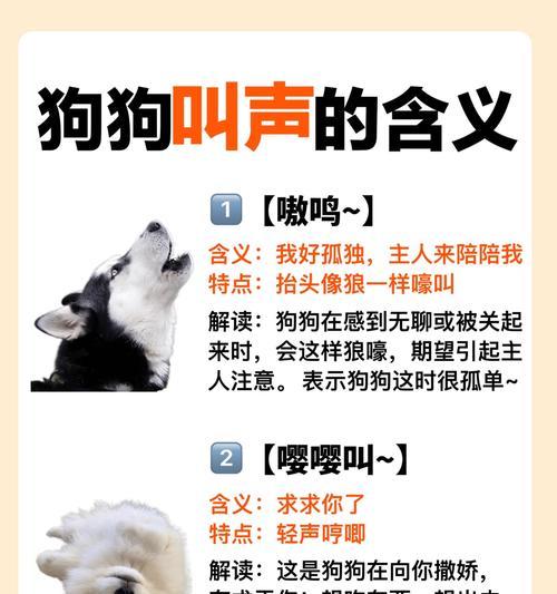 宠物割绳（解谜游戏中不同宠物角色的特点与能力）  第3张